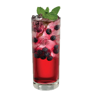 Blueberry Mojito