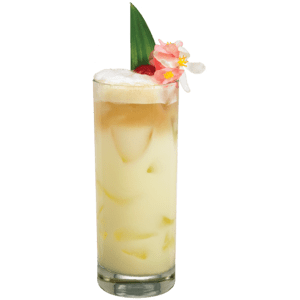 Coconut Gin Fizz